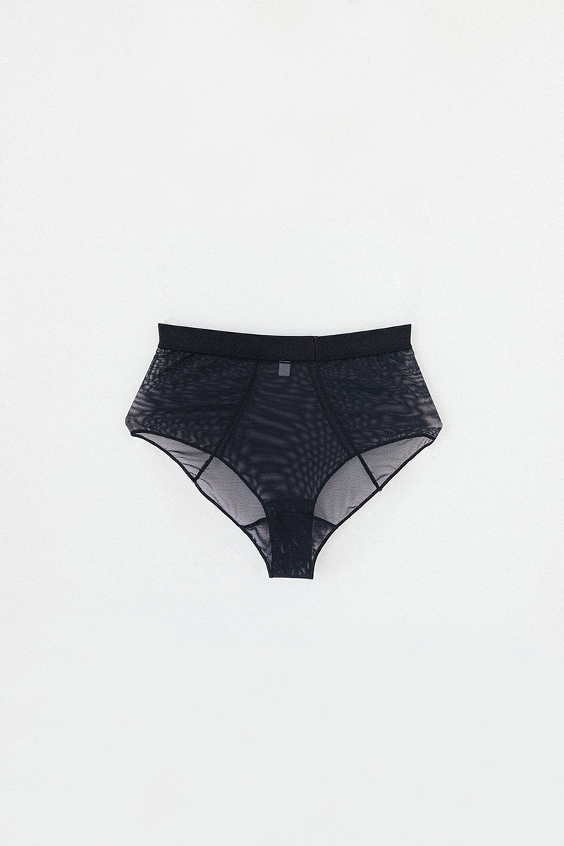 Eva Brief