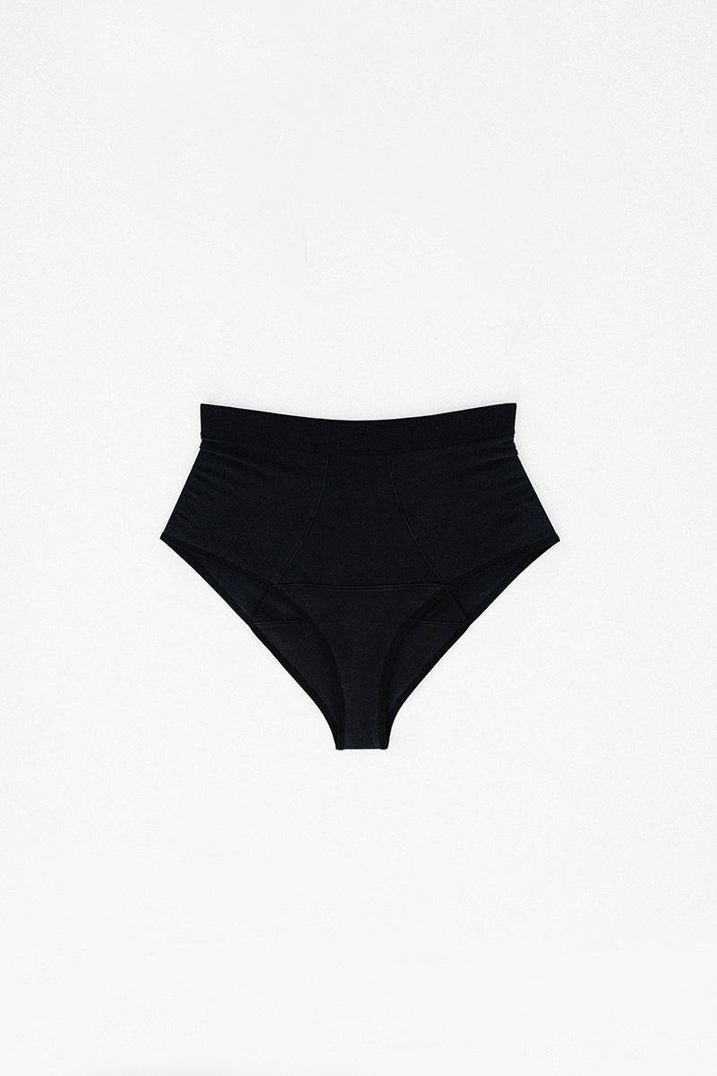 Fern Brief