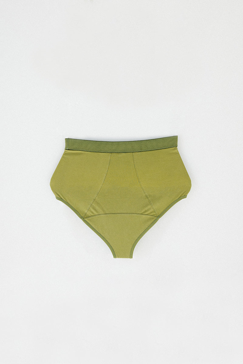 Fern Brief