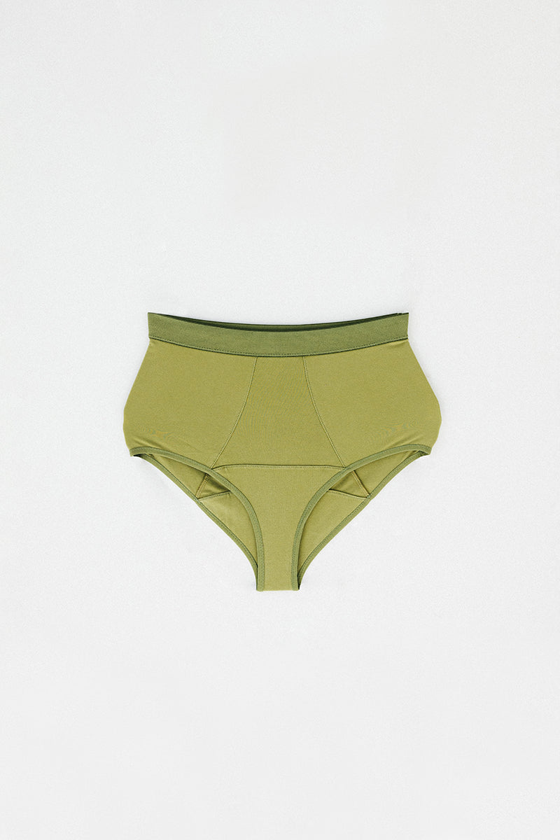 Fern Brief