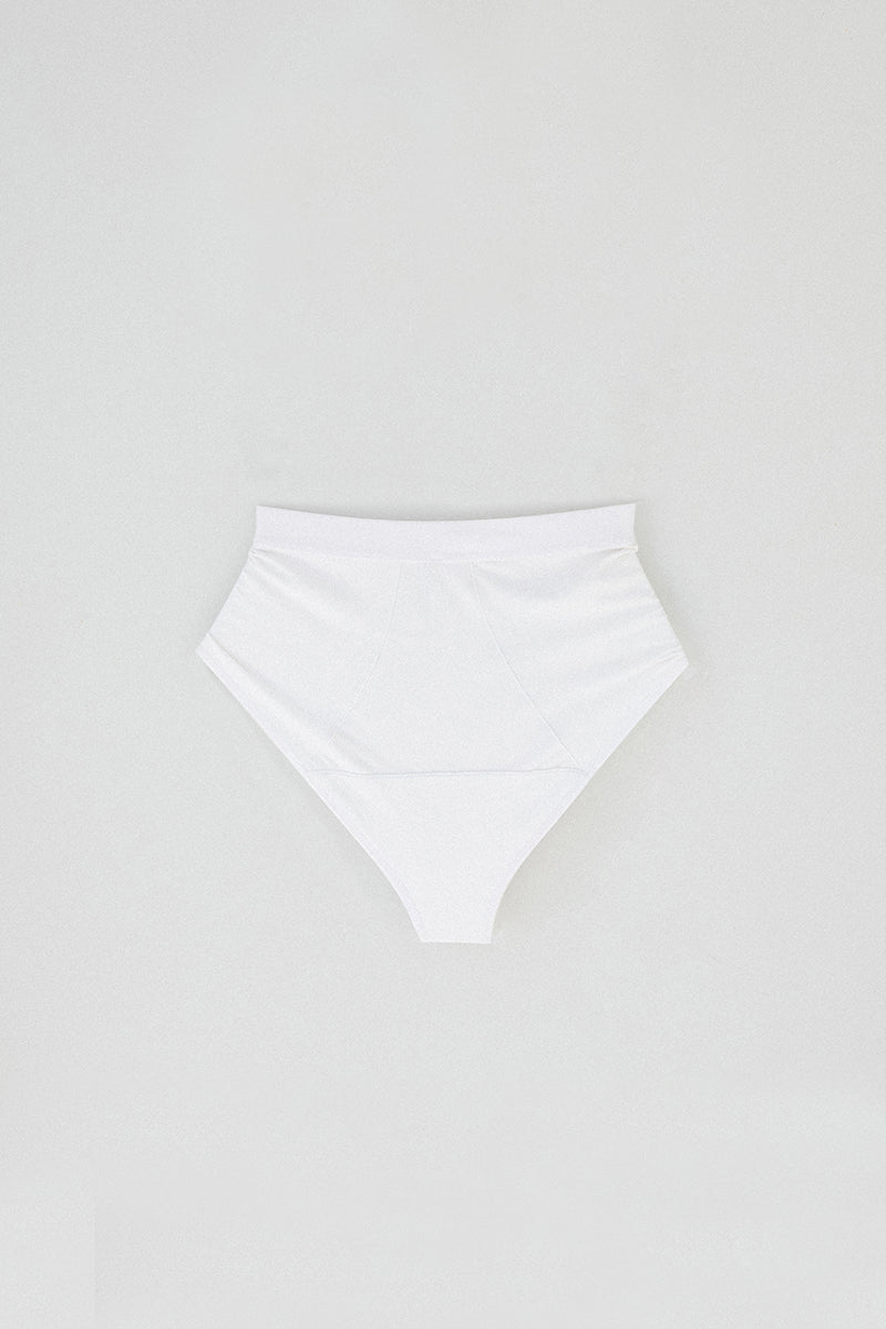 Fern Brief