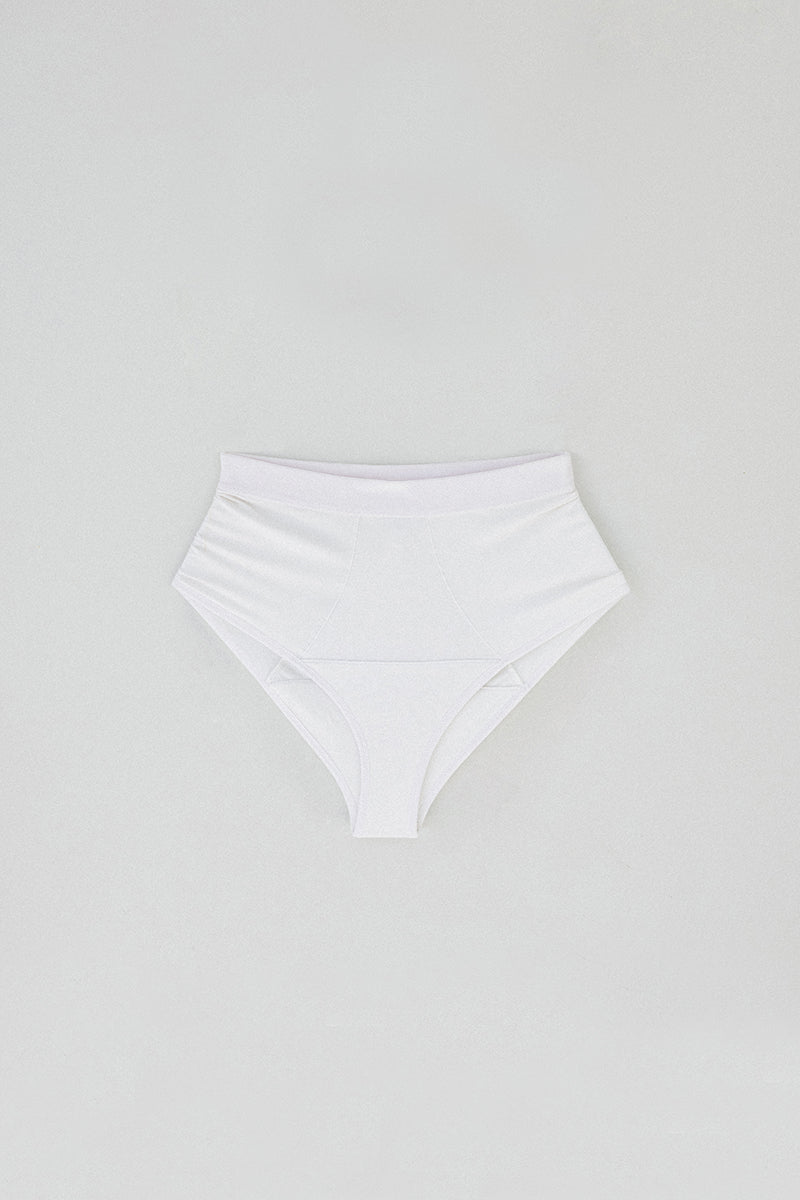 Fern Brief